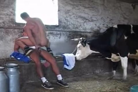 Great In The Barn slamming homo Style