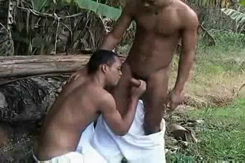 Brazil Forest fuck