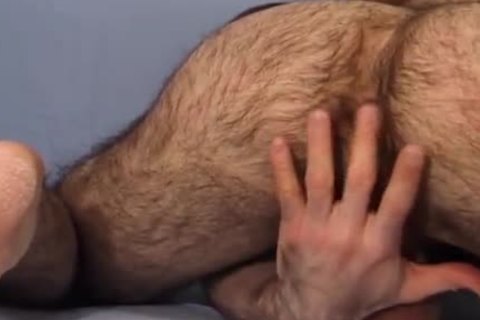 Extreme Hairy Gay Bareback Porn - Hairy Gay Tube Videos - Gay Fuck Porn TV