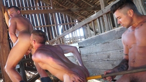 Falcon Studios: Hairy Brandon Wilde masturbation anal double