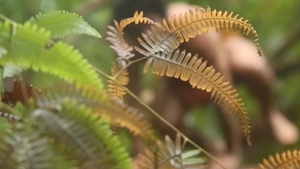 Men: Two Men, One Tropical Adventure